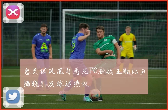 惠灵顿凤凰与悉尼FC激战正酣比分揭晓引发球迷热议